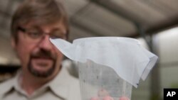 Professor Scott O'Neill inspects the first Wolbachia Aedes aegypti to be released in North Queensland.