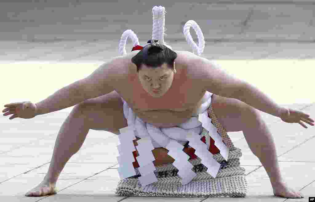 Sumo Grand champion Hakuho displays the sumo ceremonial stamping form during the New Year&#39;s ring entering ceremony by grand champions at Meiji Shrine in Tokyo, Japan.
