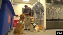 Anjing-anjing First Responders K-9 yang dilatih untuk membantu petugas kepolisian mengatasi dan membantu pemulihan dari stres karena pekerjaan berisiko tinggi. 