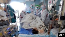 Bệnh nhân nhiễm virut cúm gia cầm H7N9 đang được điều trị tại một bệnh viện thuộc Vũ Hán, ngày 12 tháng 02 năm 2017. 