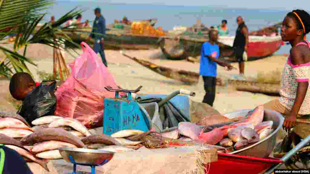 Les premières heures matinales au marché principal de poissons à Bata en Guinée équatoriale