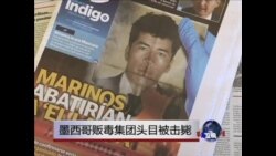 墨西哥贩毒集团头目被击毙