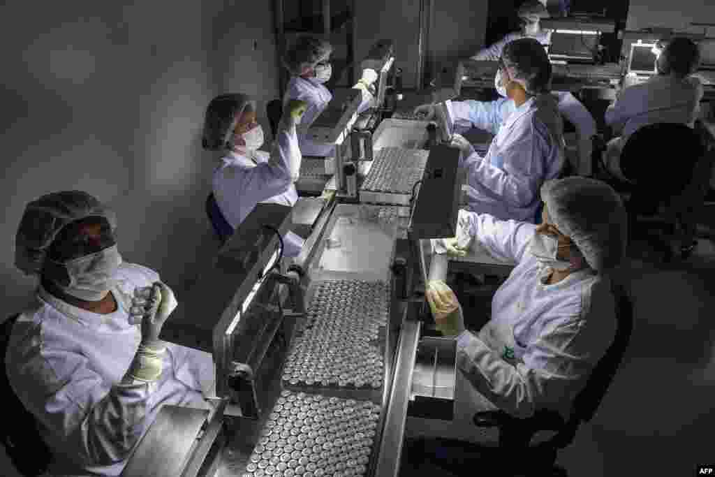 브라질 상파울루의 부탄탄 바이오메디컬 연구소 직원들이 중국 제약회사 시노백이 개발한 신종 코로나바이러스 백신을 배열하고 있다. 시노백 예방 접종이 상파울루에서 25일부터 시작될 예정이다.