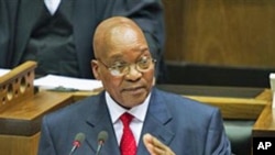 South African President Jacob Zuma delivers the State of the Nation Address during the opening of parliament in Cape Town, South Africa, February 10, 2011 (file photo)

