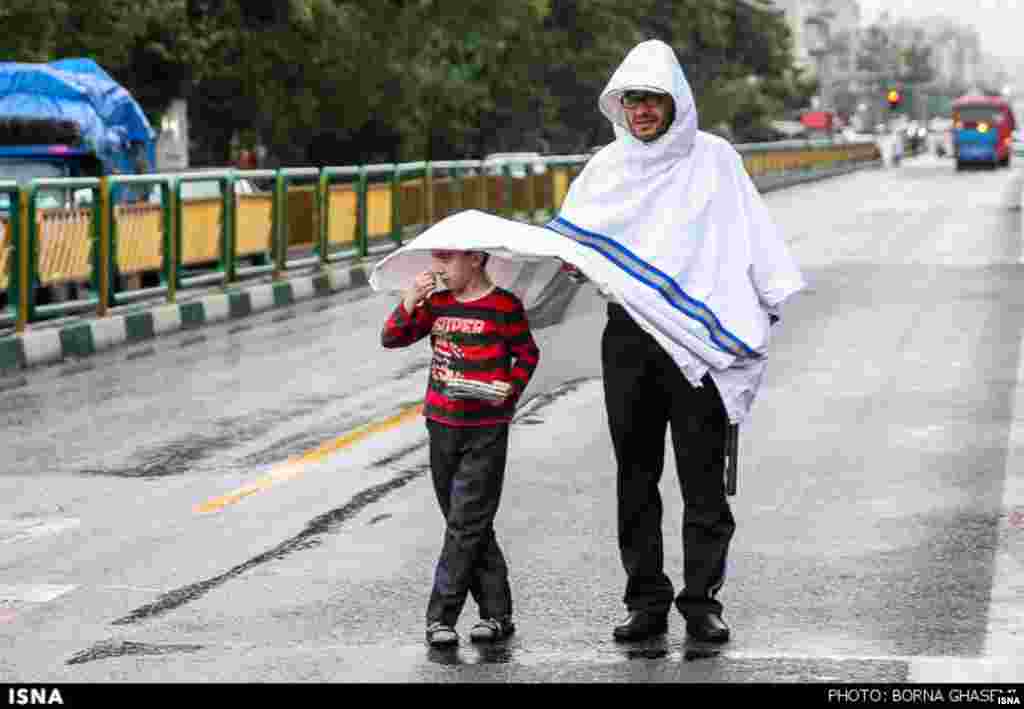 بارش باران بهاری در تهران. عکس: برنا قاسمی، ایسنا