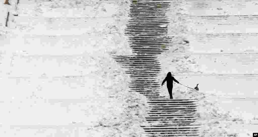 A man walks his dog in the snow in a park in Bucharest February 2, 2012. (Reuters)