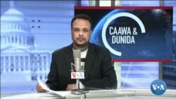 Caawa iyo Dunida