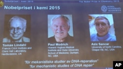 A view of the screen showing the winners of the 2015 Nobel Prize for Chemistry, during a press conference, in Stockholm, Oct. 7, 2015.