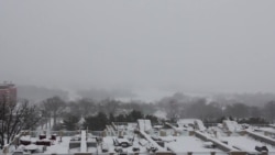 Washington, D.C., Suburbs Hit by Blizzard