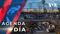 Presidente Trump visitará zonas de EEUU afectadas por huracanes e incendios forestales