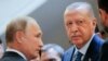 Putin-Erdog'an kelishuvi qanchaga yetadi?