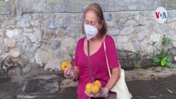 Mango: la fruta que sacia el hambre de los venezolanos más pobres