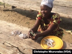 Une mère de famille qui vit de la cuisine des poissons pêchés dans le lac (VOA/ Christophe Nkurunziza)