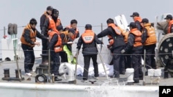 20일 한국 민관군 잠수요원들이 침몰한 여객선 '세월호' 선내에서 희생자들을 추가로 수습한 가운데, 해양 경찰이 수습된 시신을 확인하고 있다.