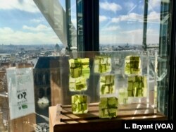Algae, which are nutrient-rich and can have a meat-like flavor, is seen at a "Future 50 Foods" tasting at the Pompidou Center in Paris.