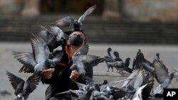 A man wearing a protective face mask feeds a flock of pigeons at Bolivar Square in Bogota, Colombia, Tuesday, July 21, 2020, amid the new coronavirus pandemic.