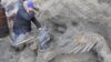 Woolly Mammoth Carcass Reveals Human Migration Secrets