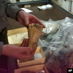 Bones of animals - such as cows and fish - discovered at the site, help archeologists piece together what the slave population's diet might have been.