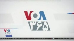 اخبار شامگاهی