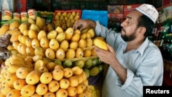 FILE - A vendor arranges mangoes for sale at a stall in Multan. Pakistan exports over 120,000 tons of mangoes every year to the U.S., Europe, Middle-east and Southeast Asia, officials at the Pakistan Export Promotion Bureau said. 