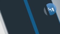 Explainer: Presidential Qualifications 