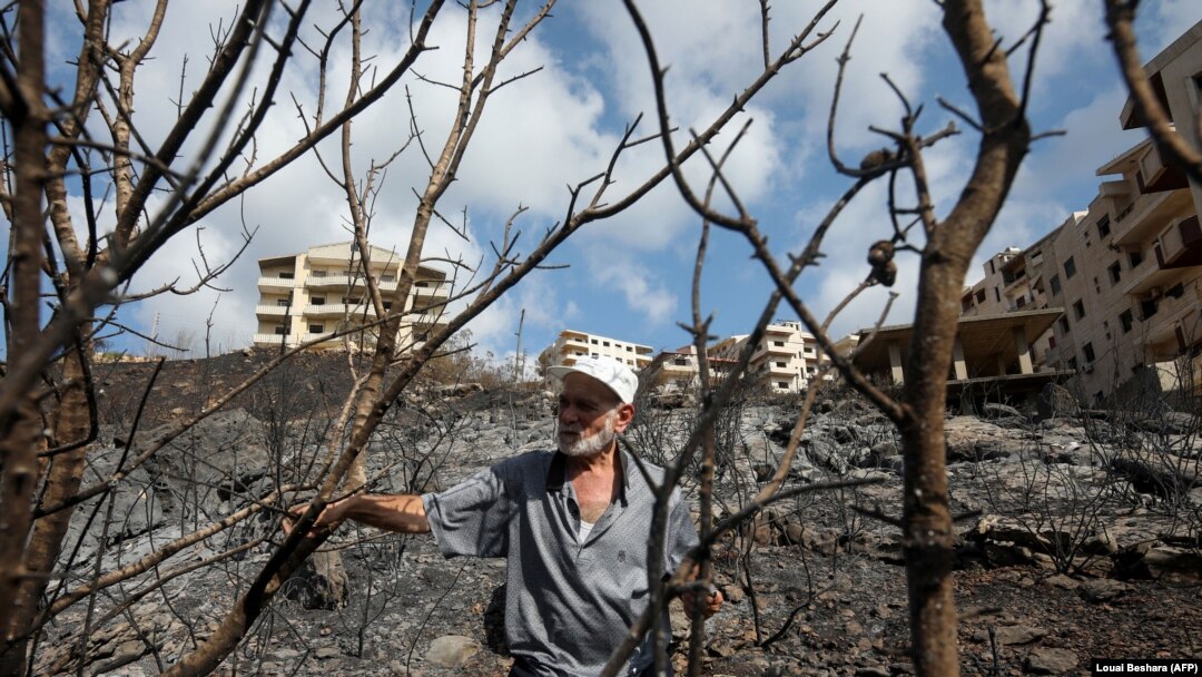 Seorang pria mengamati area yang terbakar akibat kebakaran hutan yang melanda wilayah Tartus, Suriah, pada 11 Oktober 2020. Kebakaran hutan melanda beberapa wilayah Suriah dan Lebanon pada 2020. (Foto: AFP/Louai Beshara)