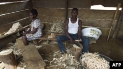 FILE - Cameroonian refugees make chewing sticks for cleaning teeth to earn a living at a temporary home in Agborkim town, Etung district of Cross Rivers State, southeast Nigeria, Feb. 2, 2018.