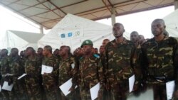 Basoda ya Brésil basungi ba FARDC na mateya mpo na kobundisa ba ADF