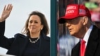 Ảnh phối hợp ngày 3/11/2024: Phó Tổng thống Kamala Harris ,trái, và cựu Tổng thống Donald Trump. 