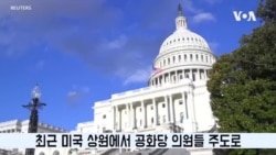 "미국 군함 동맹국서 건조 허용" 상원 법안 발의