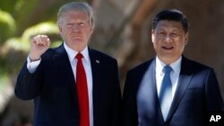 Le président américain Donald Trump et son homologue chinois Xi Jinping à Mar-a-Lago, Palm Beach, Floride, le 7 avril 2017.