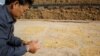 유엔 식량농업기구, 올 대북 예산 427만 달러 책정 