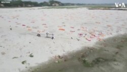Drone Footage Shows Mass Graves Along Riverbed in India 