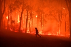 Požar u šumi jugozapadno od Sidneja (Foto: Reuters/Dean Lewins-AAP)