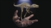 พบฟอสซิลบรรพบุรุษไดโนเสาร์รุ่นจิ๋ว ขนาดเล็กกว่าสมาร์ทโฟน