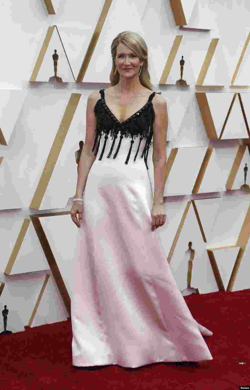 អ្នកស្រី Laura Dern នៅ​លើ​កម្រាល​ព្រំ​ក្រហម​នៅ​ពេល​មក​ដល់​ពិធី​ទទួល​ពានរង្វាន់​អូស្ការ Academy Awards លើក​ទី ៩២ នៅ​ហូលីវូដ ថ្ងៃទី ៩ ខែកុម្ភៈ​ឆ្នាំ ២០២០។