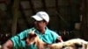 From Corporate Executive to Halal Goat Farmer