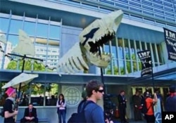 Demonstrators compared the IMF to a "loan shark" and urged an end to what they called unjust economic policies