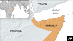 Al-Shabab Loses Key Somali Town