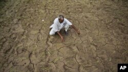 FILE - A farmer shows a dry, cracked paddy field in Ranbir Singh Pura 34 kilometers from Jammu, India.