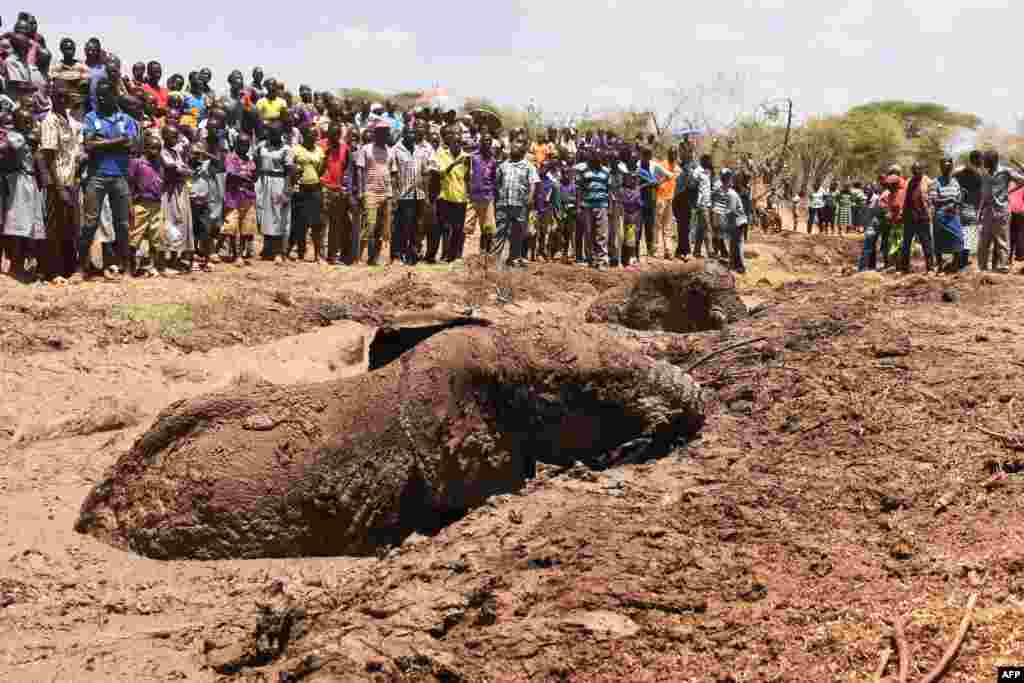 People watch as two of three elephants stuck in deep mud on the shores of the seasonal Lake Kapnarok, situated at the base of the Kerio valley, part of the Kenyan Rift Valley&#39;s ecosystem in Baringo County, are rescued, April 1, 2019.
