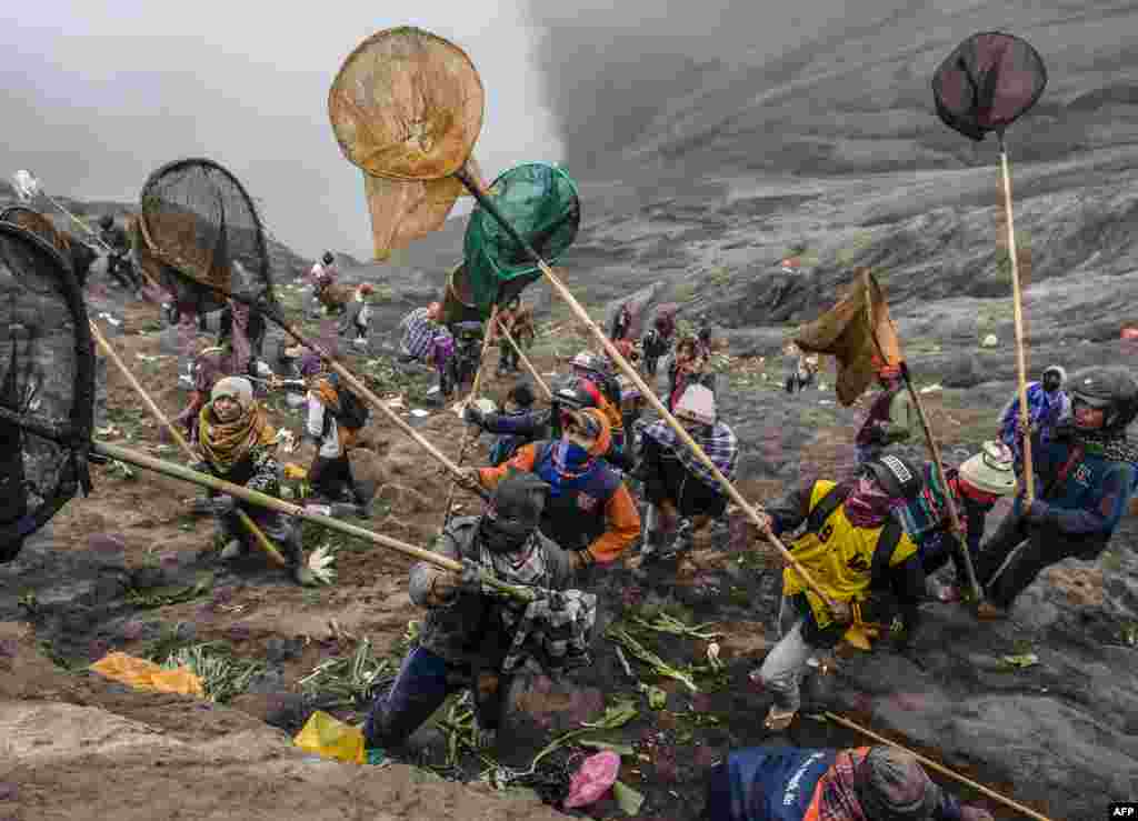 Orang-orang mencoba menangkap sesaji (persembahan) yang dilempar dari puncak Gunung Bromo oleh warga suku Tengger dan wisatawan lokal di Probolinggo, provinsi Jawa Timur, bagian dari festival Hindu &#39;Kasada Yadnya&#39;.