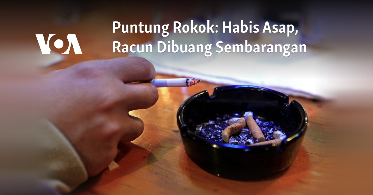 Asap Rokok Racun Puntung Rokok: Habis Asap, Racun Dibuang Sembarangan