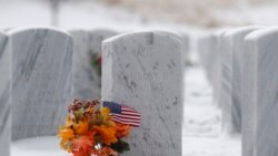 El Día de los Veteranos en Estados Unidos fue conmemorado este 11 de noviembre de 2019 en medio de nevadas.