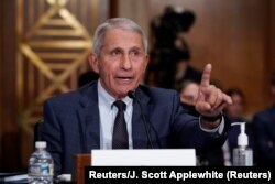 Doktor Anthony Fauci