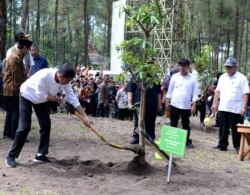 Jokowi menanam pohon Pulai di Jurangjero, Srumbung, Magelang, Jawa Tengah, kawasan Nasional Gunung Merapi (TNGM), 14 Februari 2020. (foto: courtesy: setkab.go.id)