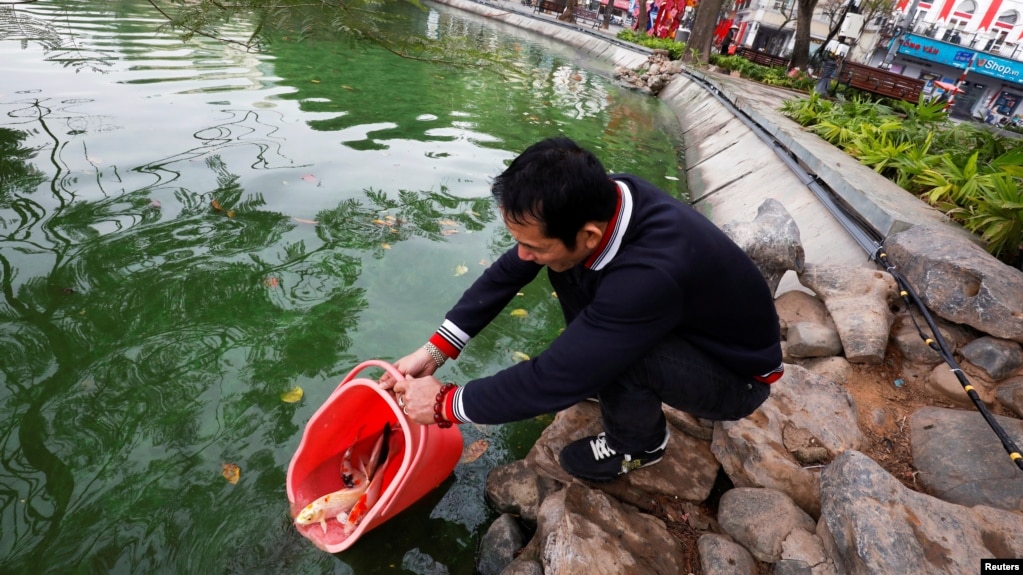 A man releases carps to Hoan Kiem lake on Kitchen God's Day as part of the traditional Vietnamese Lunar New Year celebrations, the biggest festival of the year in Hanoi, Vietnam February 4, 2021. (REUTERS/Kham)