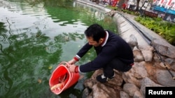 A man releases carps to Hoan Kiem lake on Kitchen God's Day as part of the traditional Vietnamese Lunar New Year celebrations, the biggest festival of the year in Hanoi, Vietnam February 4, 2021. (REUTERS/Kham)