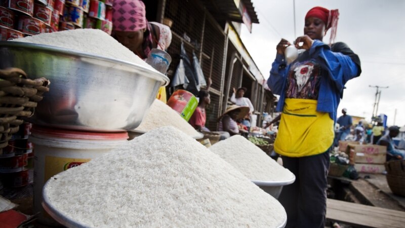 La BAD débloque 1,5 milliard de dollars pour éviter une crise alimentaire en Afrique