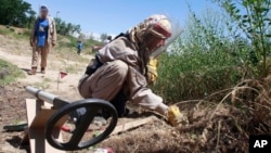 FILE - A de-miner of the Halo Trust, a British charity that specialize in the removal of land mines, searches for mines in Bagram, north of Kabul, Afghanistan.